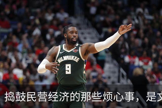 捣鼓民营经济的那些烦心事，是文化还是意识形态惹的祸？